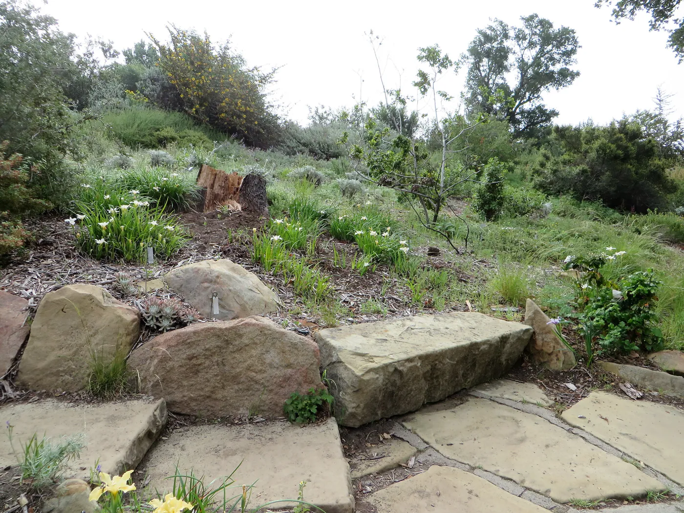 Steps at Porter Trail