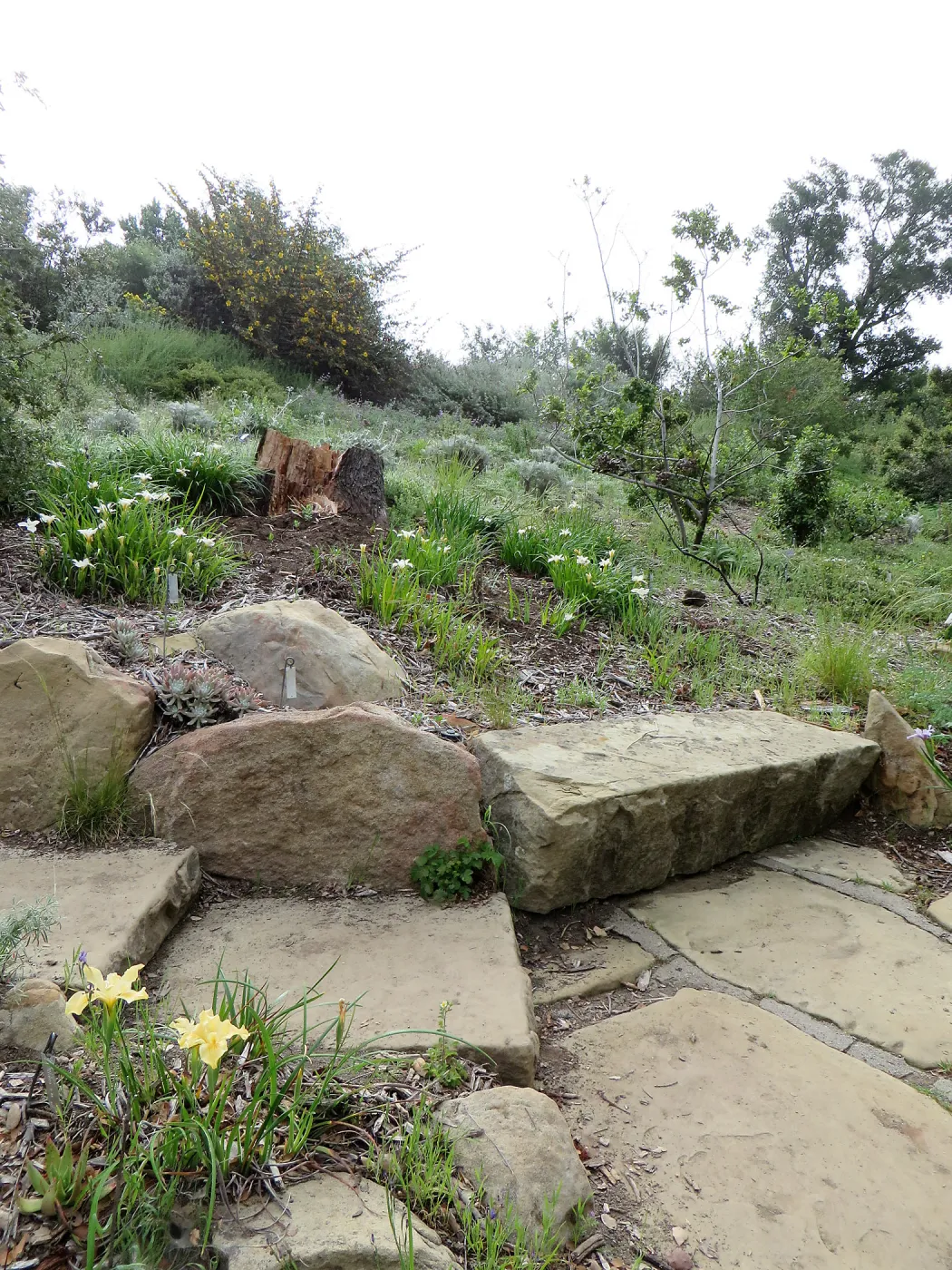 Steps at Porter Trail