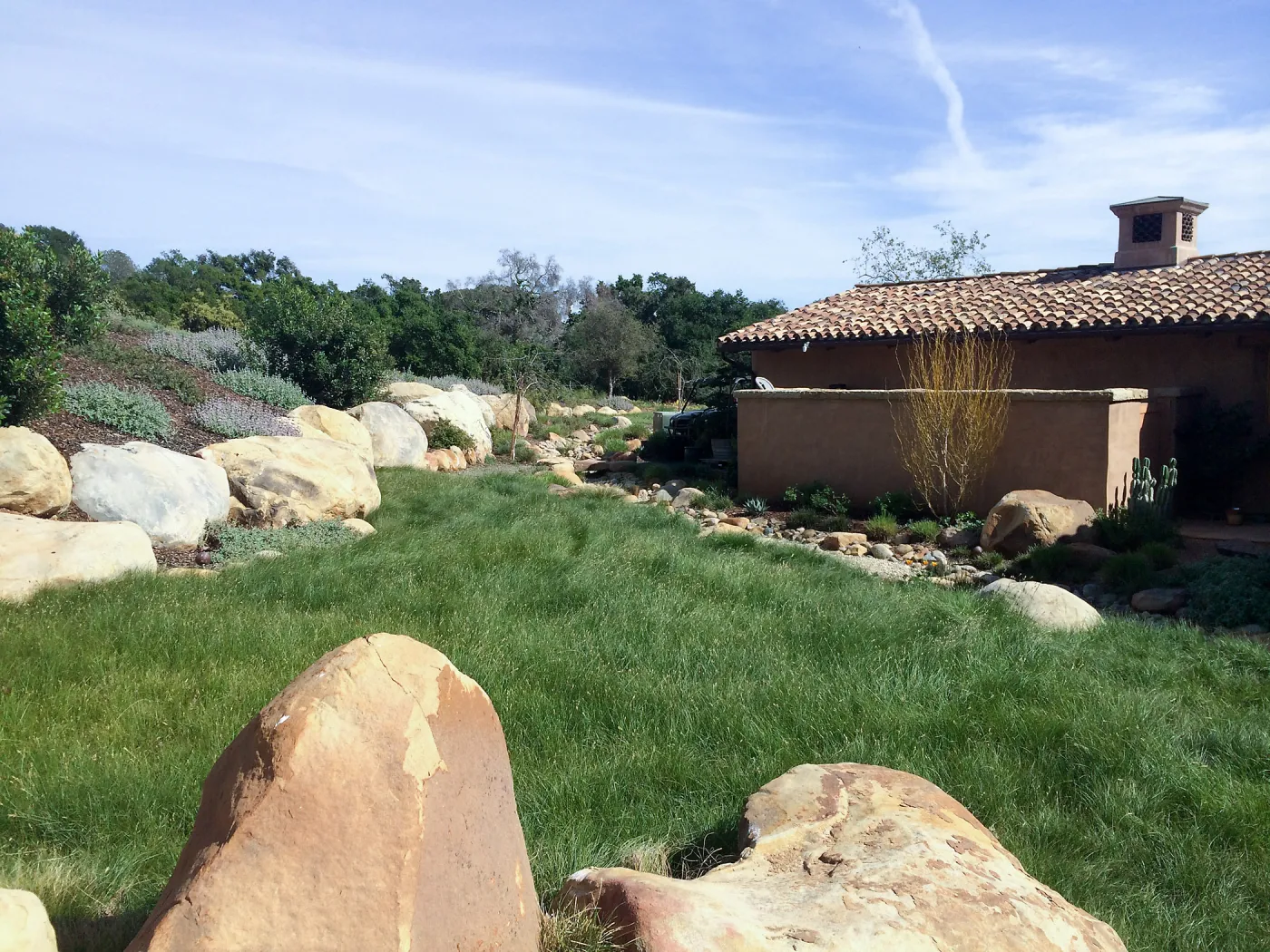 Victor Schaff garden, Carex lawn