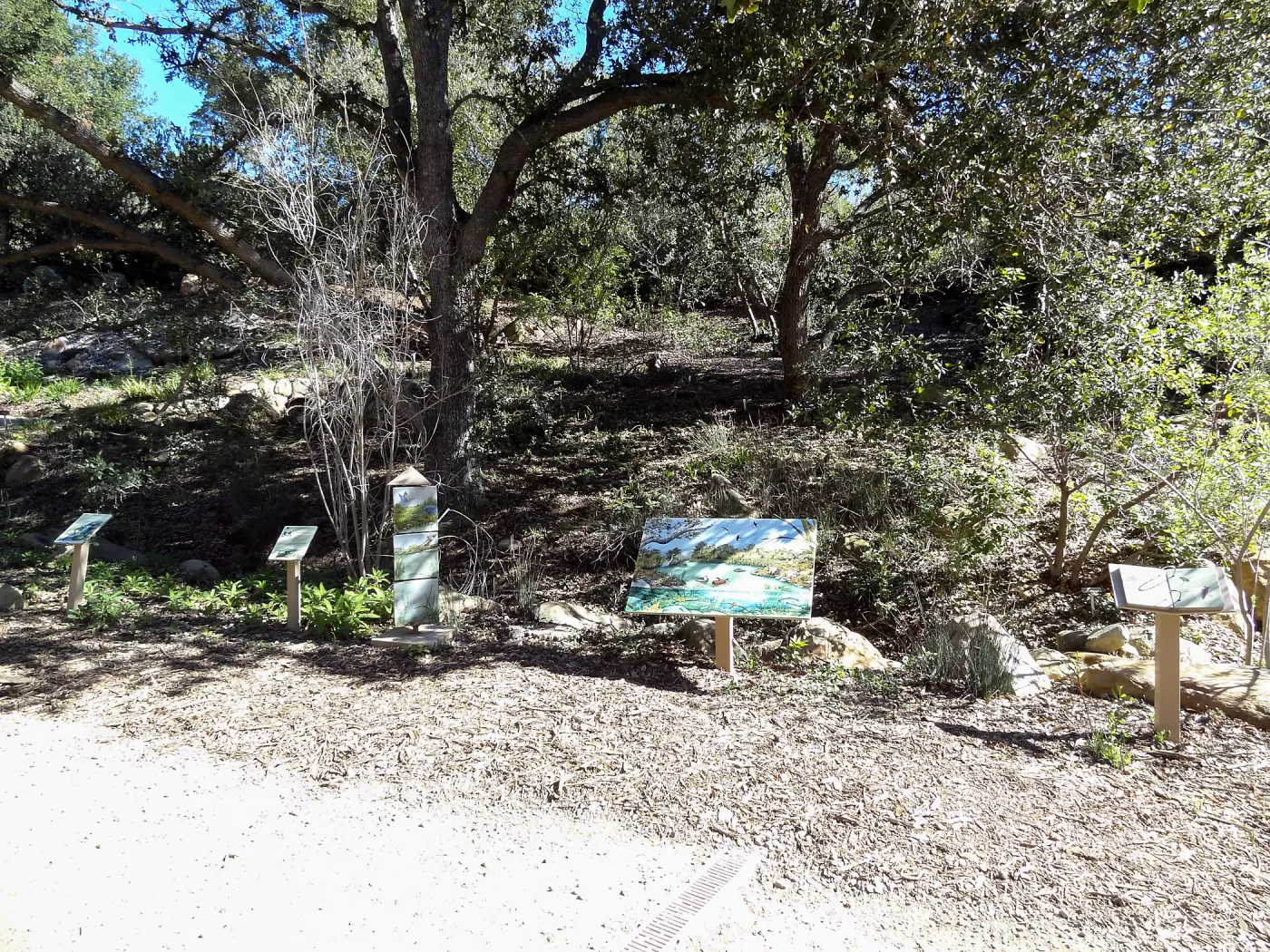 signs in the Discovery Garden, Arroyo Section