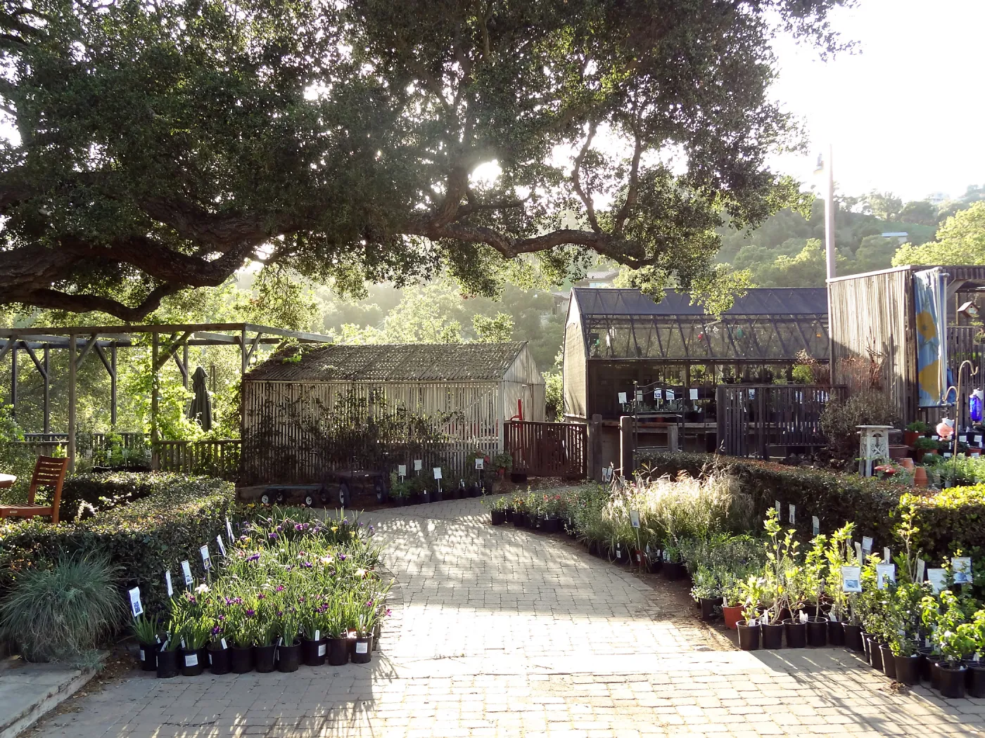 Courtyard with plants, Spring Plant Sale 2014