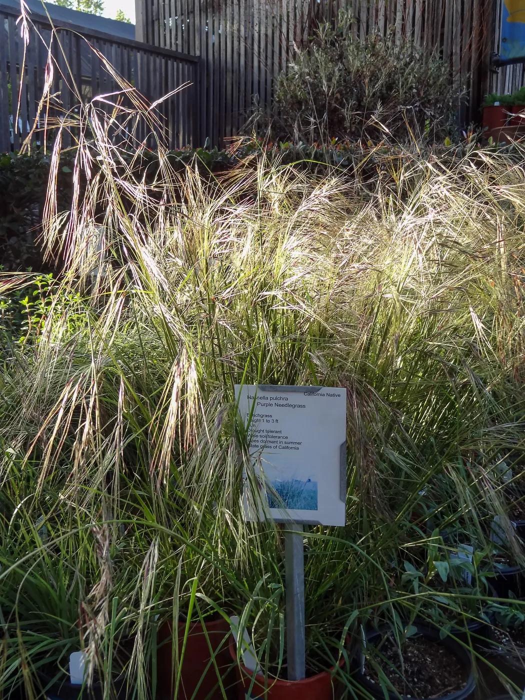 Spring Plant Sale 2014