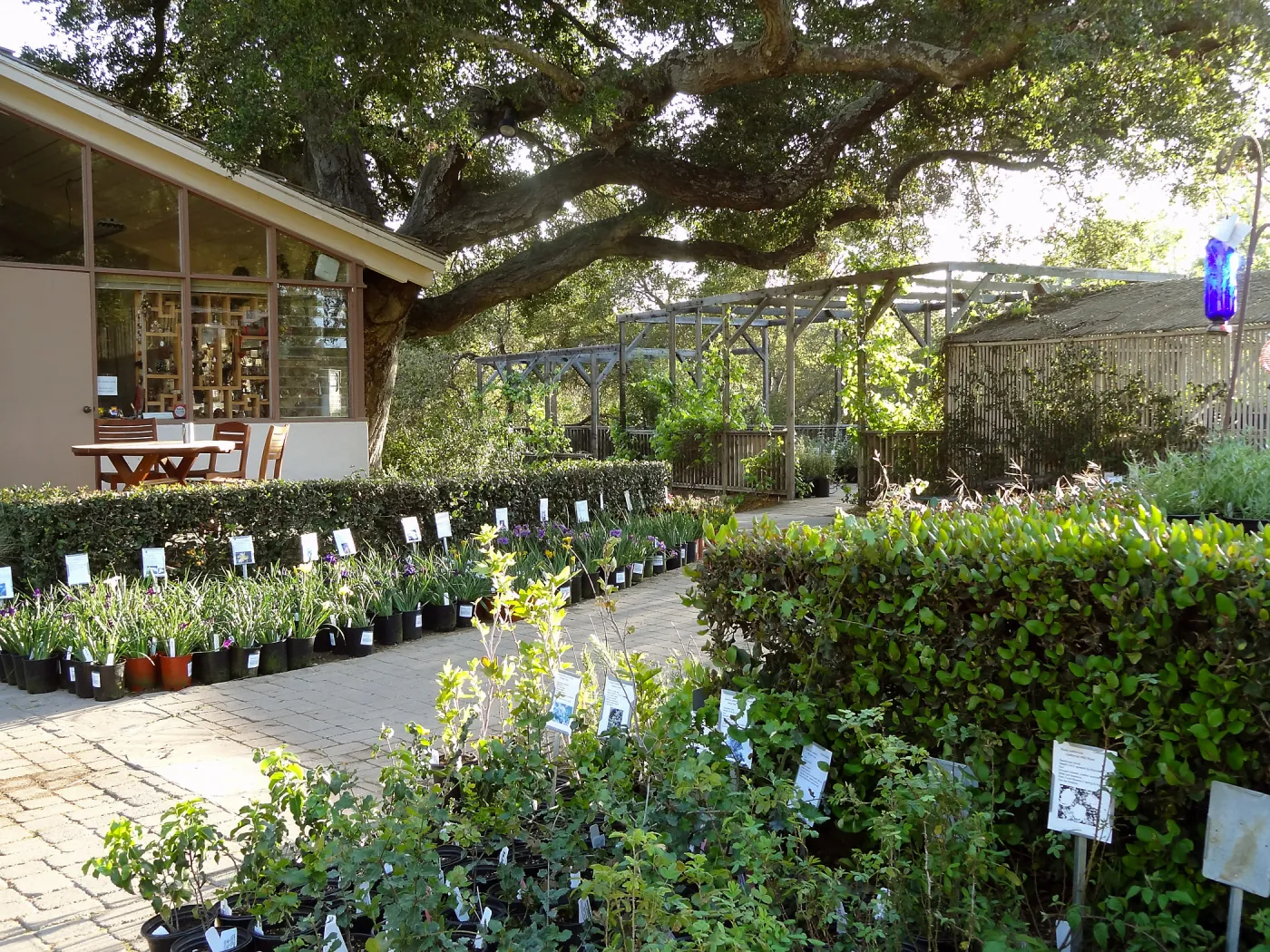 Spring Plant Sale 2014