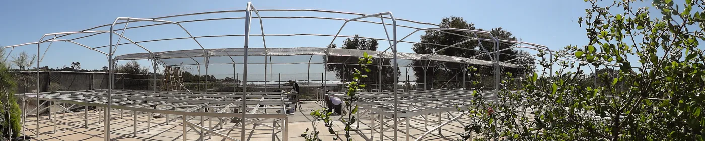 framework for new shade structure at the Hort Unit, panorama