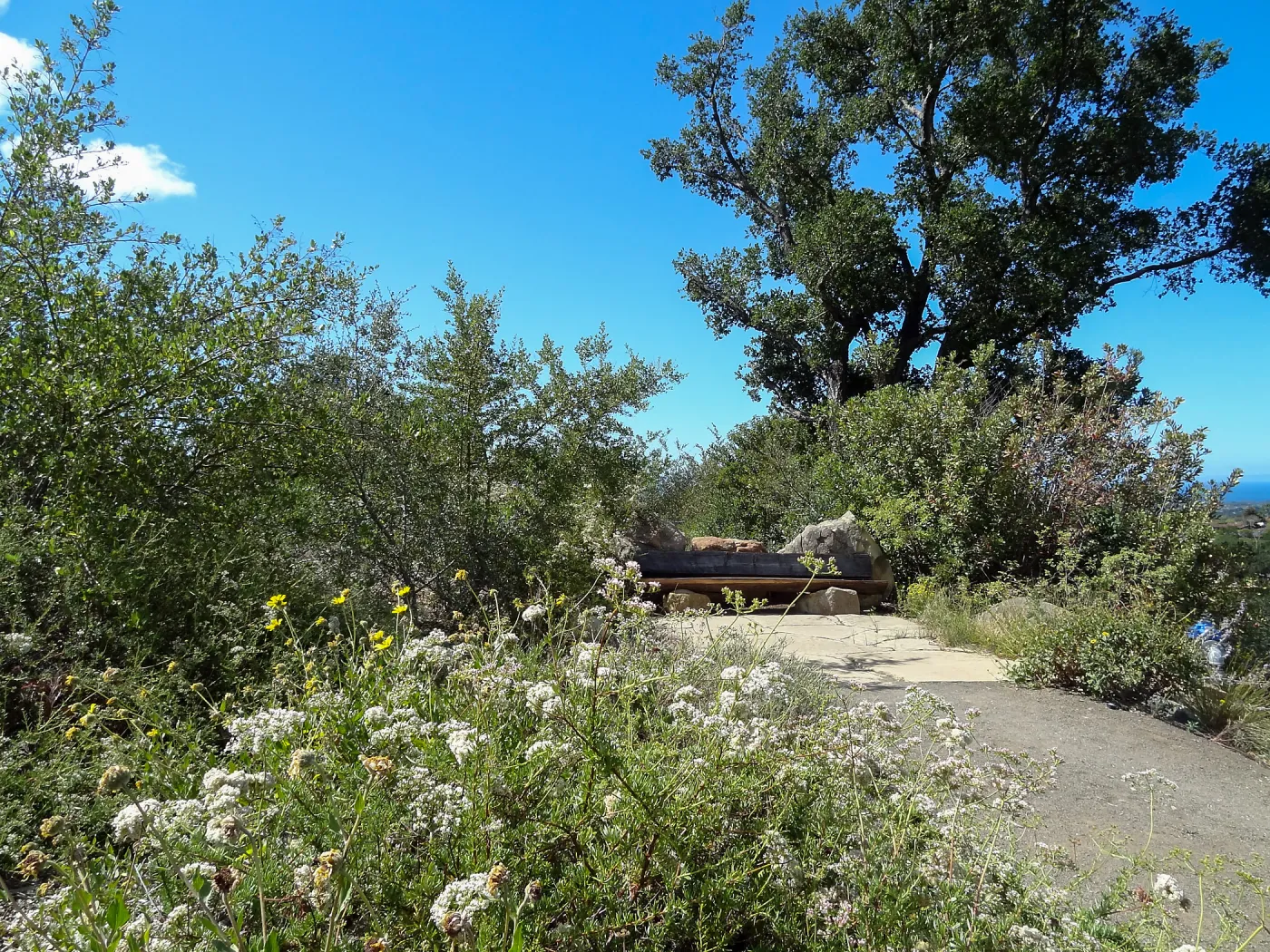 Mr. and Mrs. William Stratton Porter Bench (bench #64), Porter Trail, SBBG