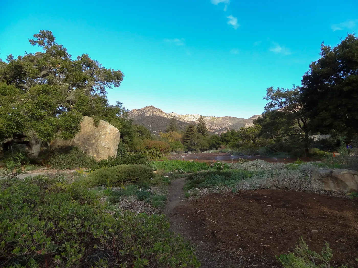 Meadow revival project, grow kill treatment