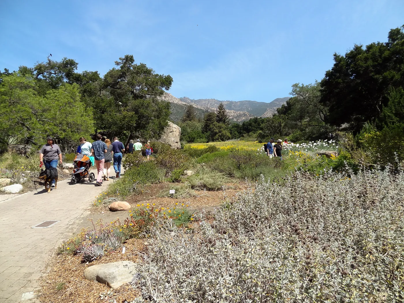 Visitors in the Garden, lower Meadow