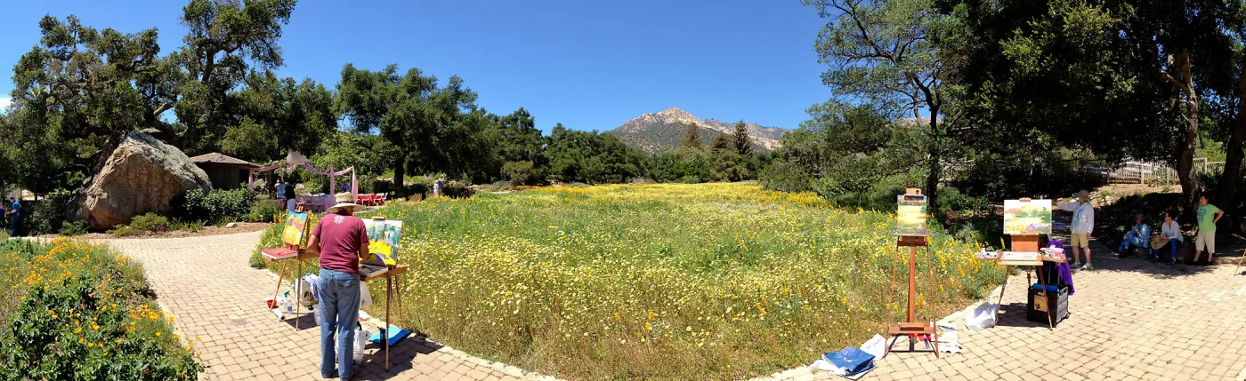 panorama, painters, painting the spring wildflower Meadow, 2014, SBBG