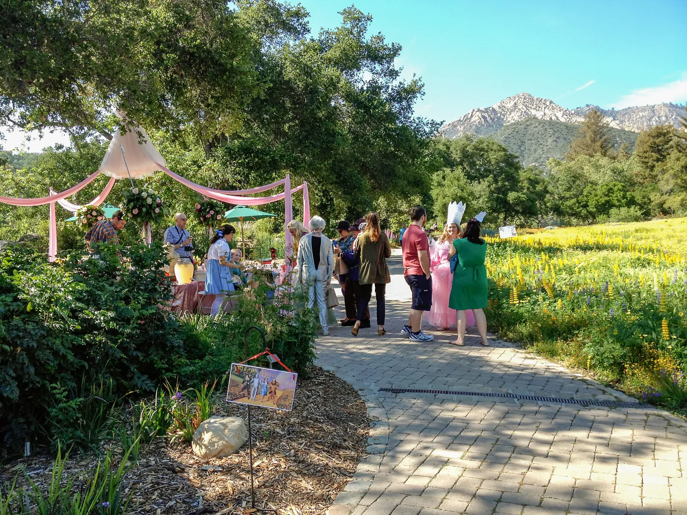 Private event, spring wildflower Meadow, 2014, SBBG
