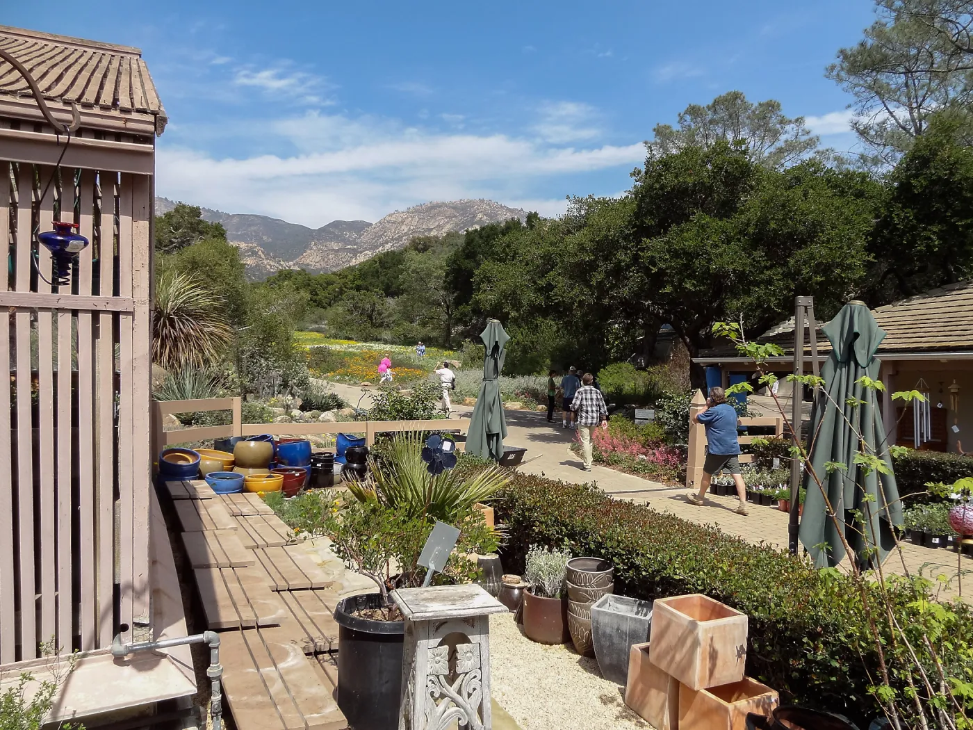 Garden Growers Nursery, view to Meadow