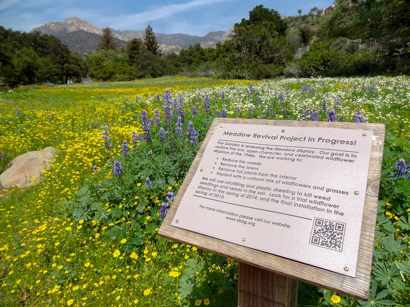 Meadow Revival Project signage, spring wildflower Meadow, 2014