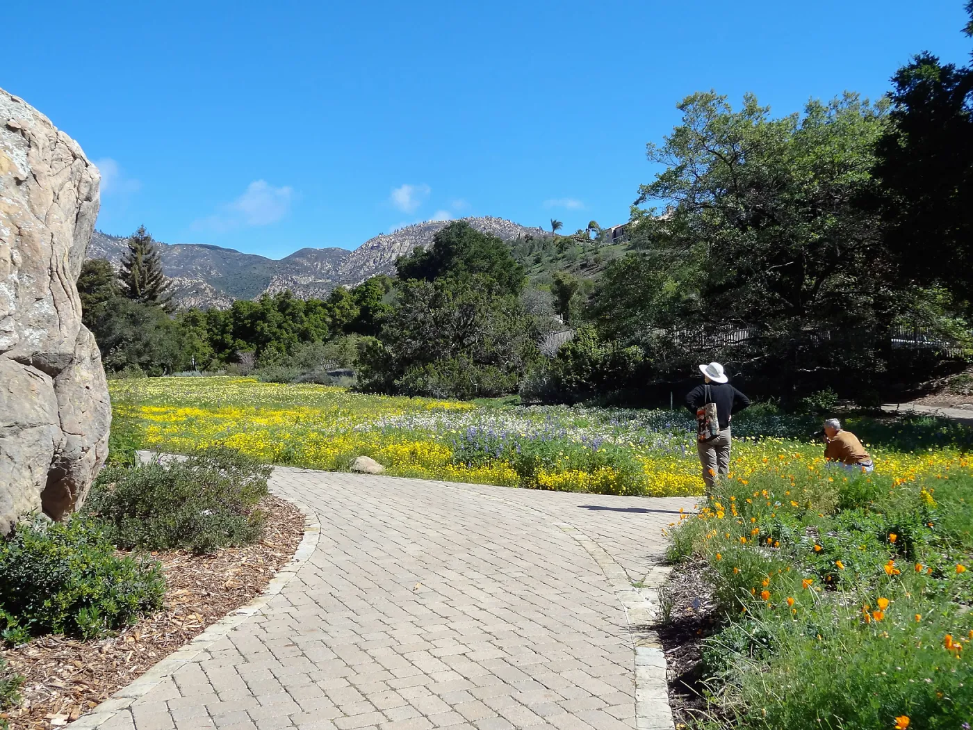 visitors, Blaksley Boulder, spring wildflower Meadow 2014, SBBG
