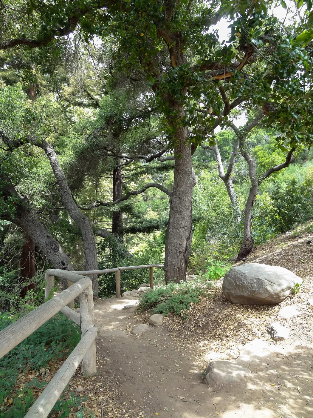 Indian Steps, 5 years post Jesusita Fire