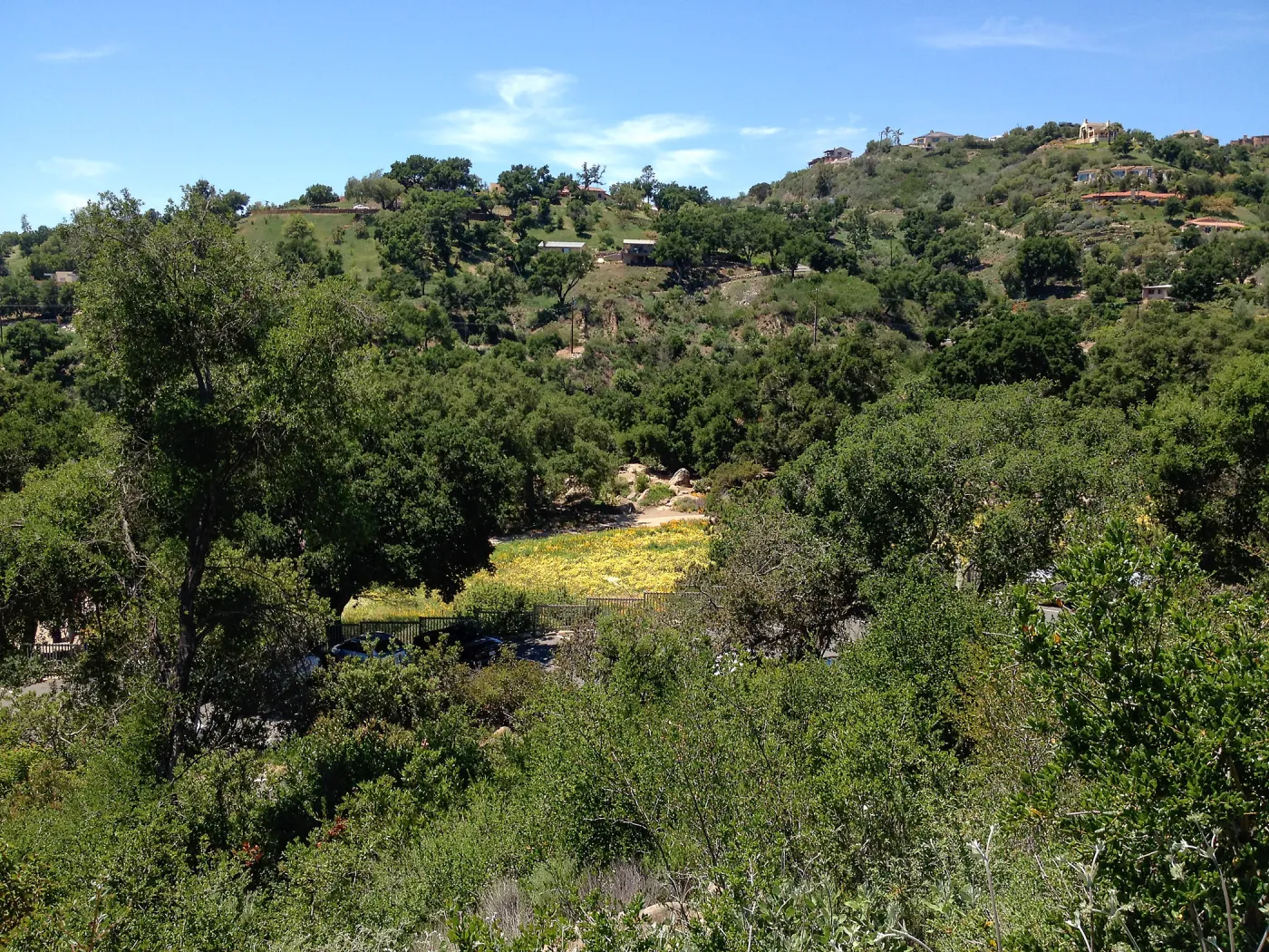 view to Meadow from Porter Trail