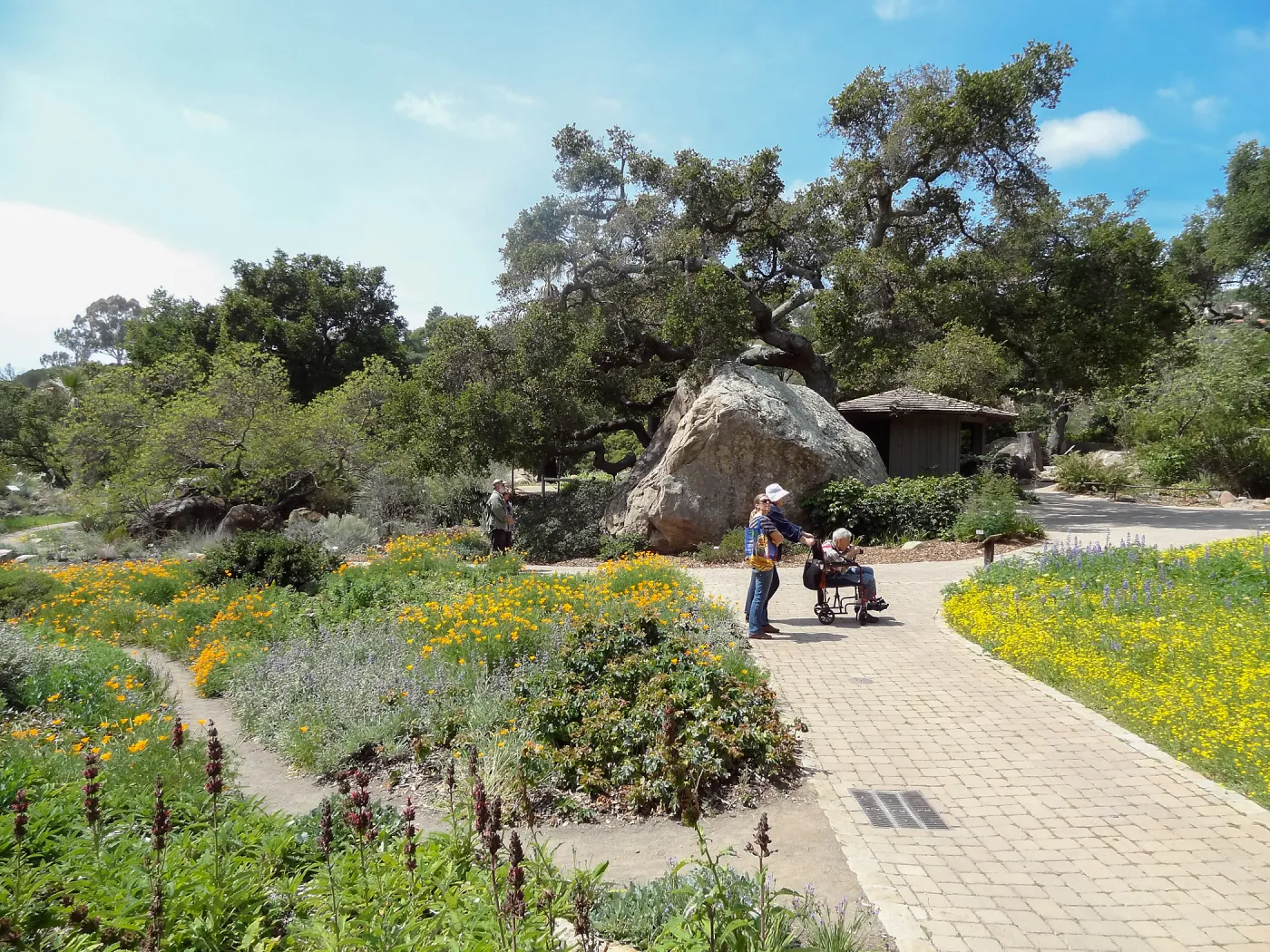 Bob Haller photographing the Meadow