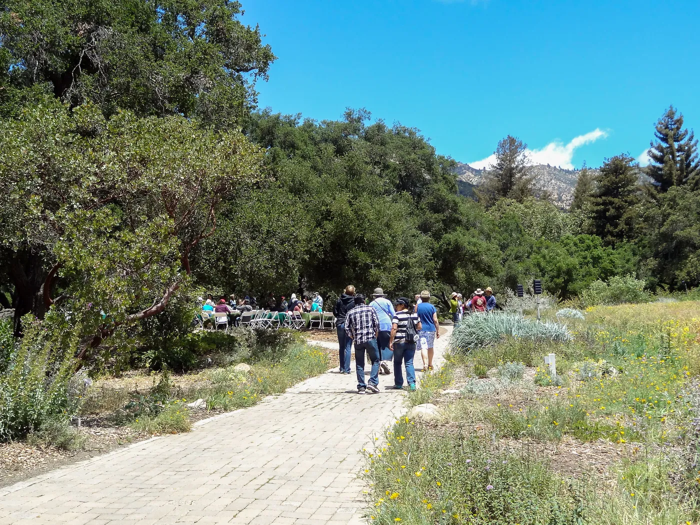 Members Picnic 2014