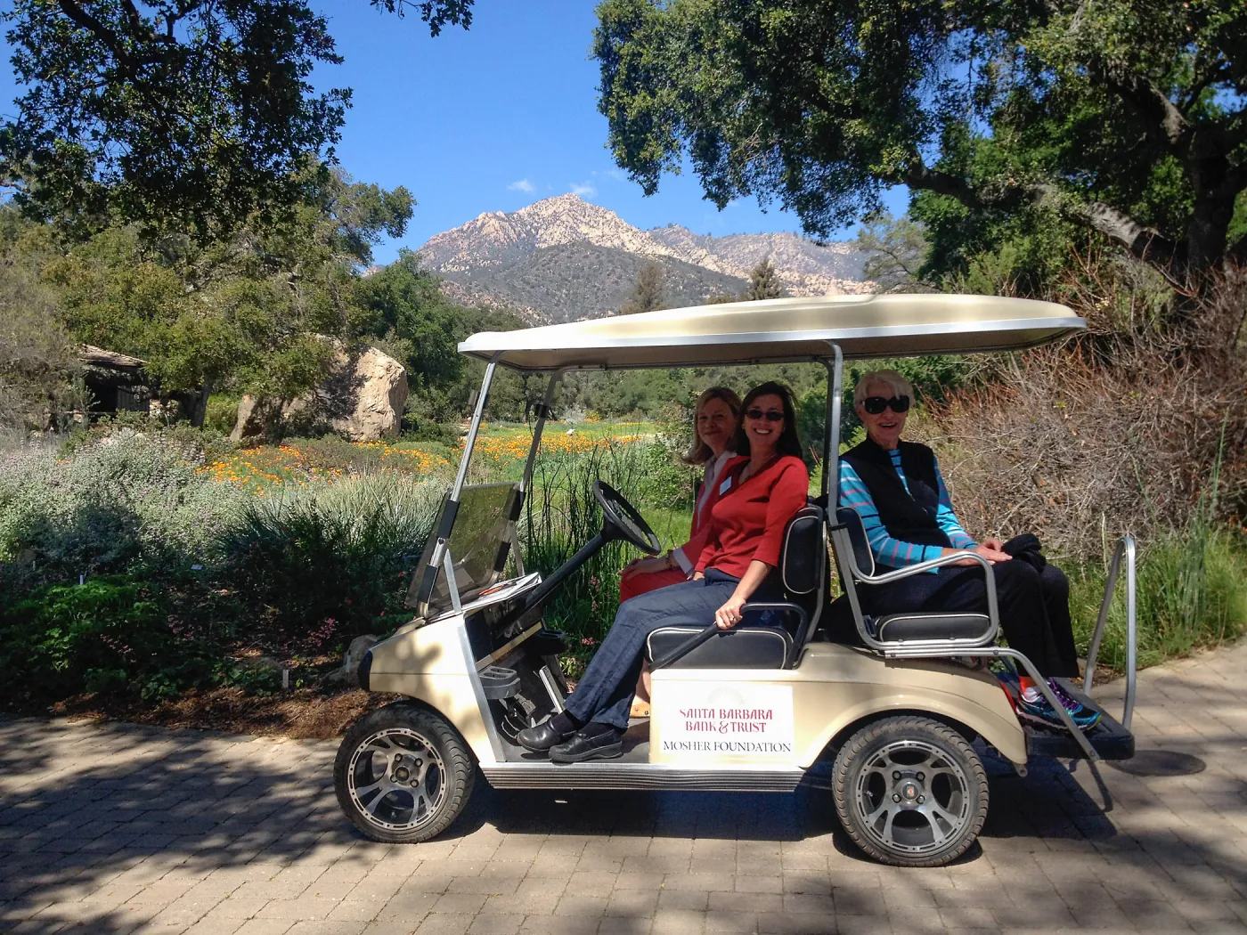 special golf cart tours, Gina Benesh, spring wildflower Meadow, 2014, SBBG