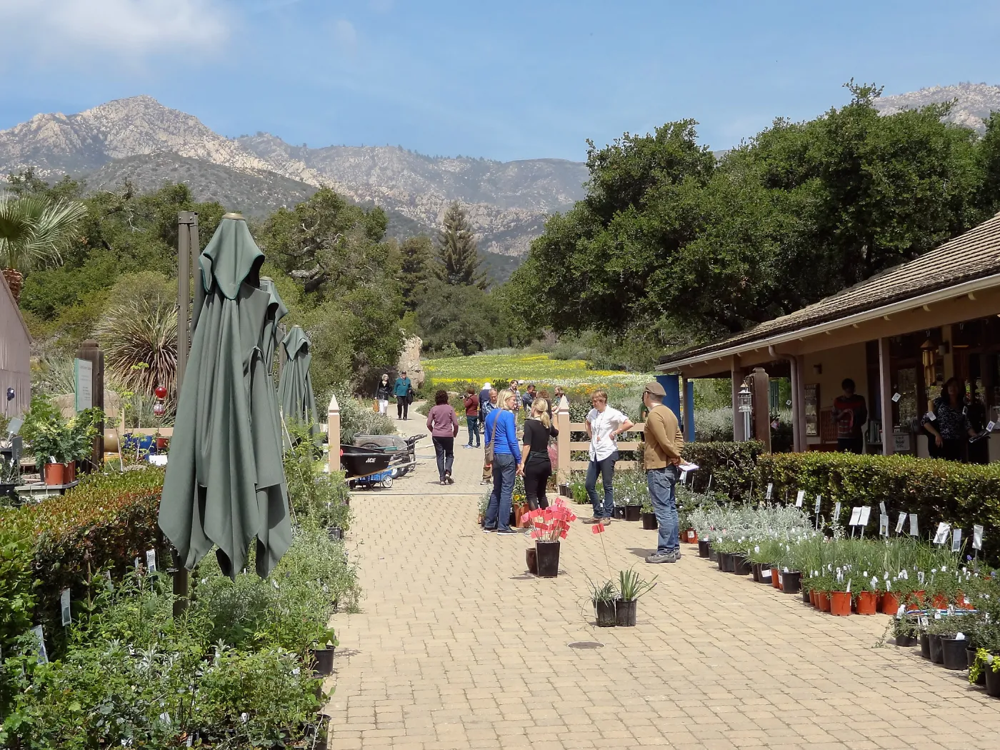 visitors shopping, Spring Plant Sale 2014
