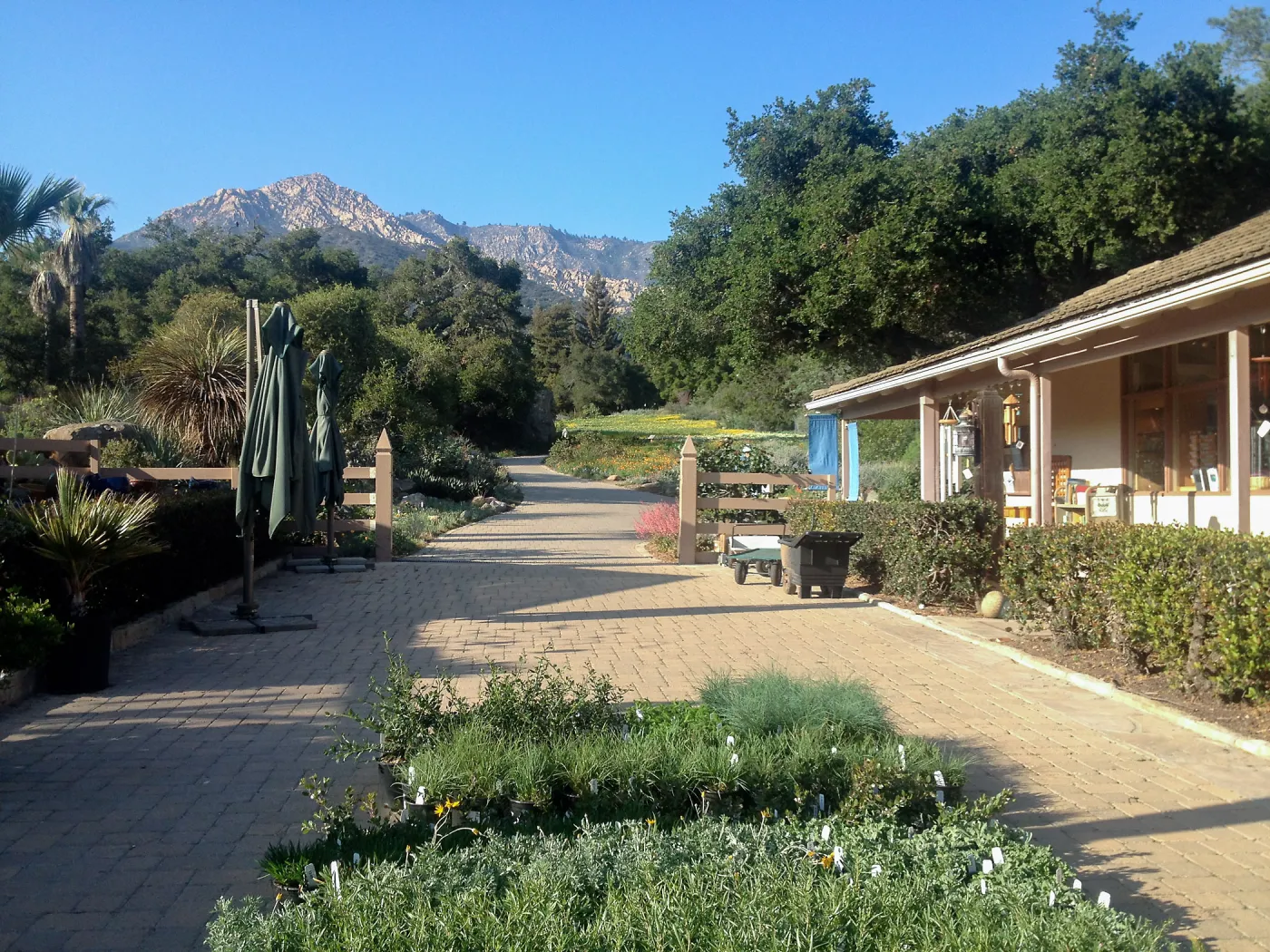 Spring Plant Sale setup, 2014