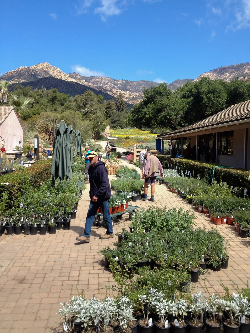 Spring Plant Sale setup, 2014