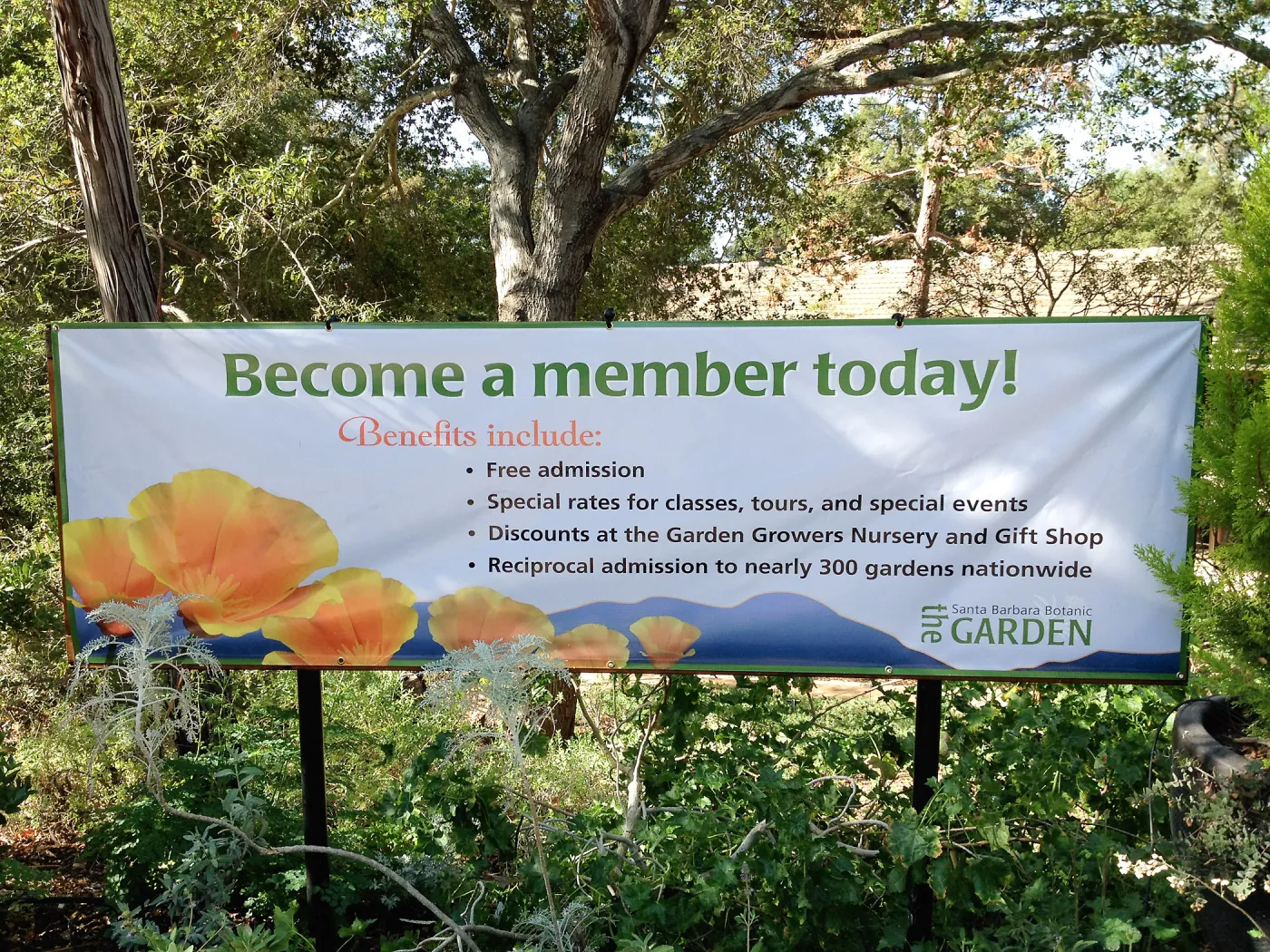 Membership banner, Garden Entrance, SBBG