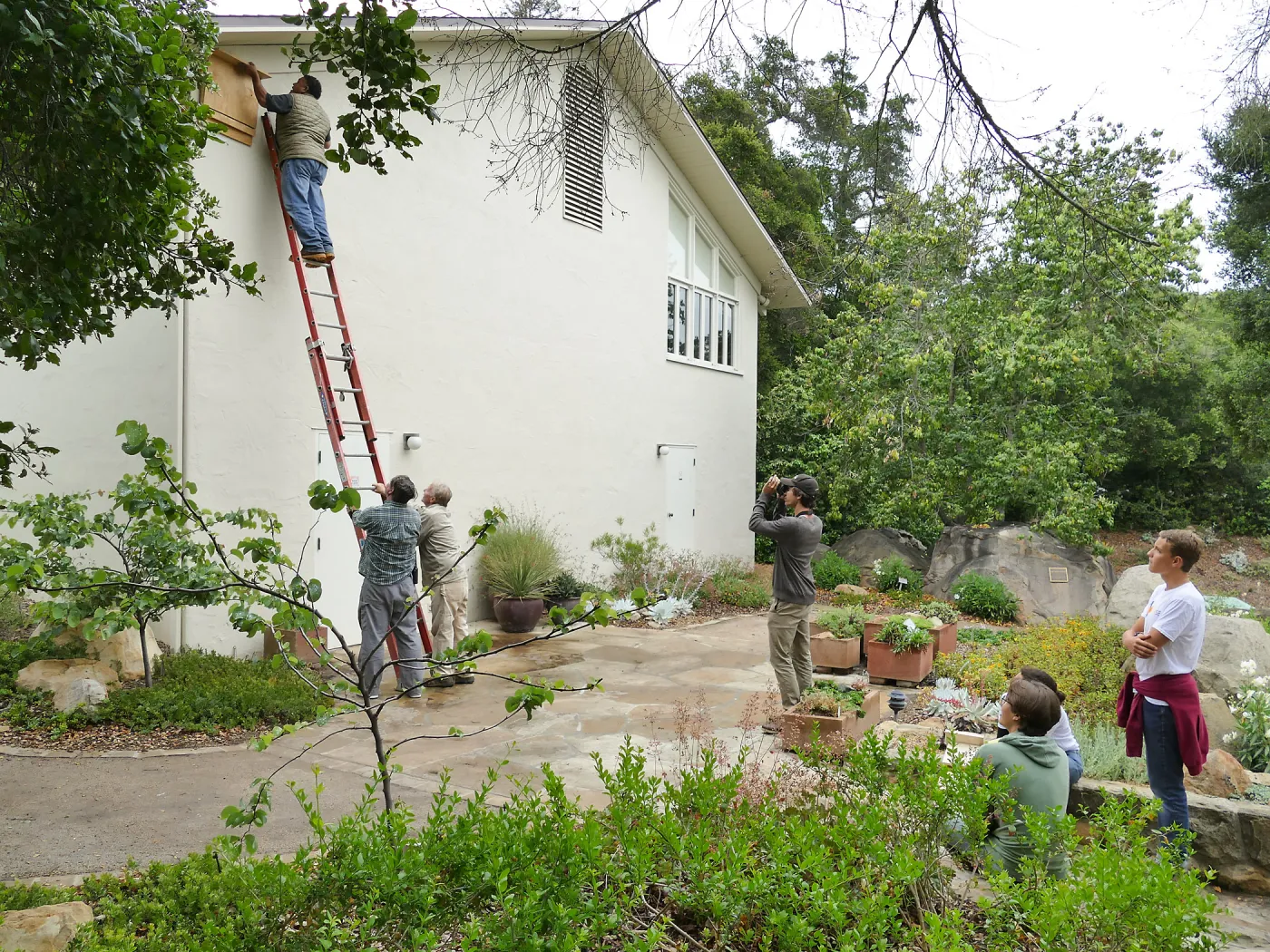 SBHS AP Environmental Science student provided bat house installation