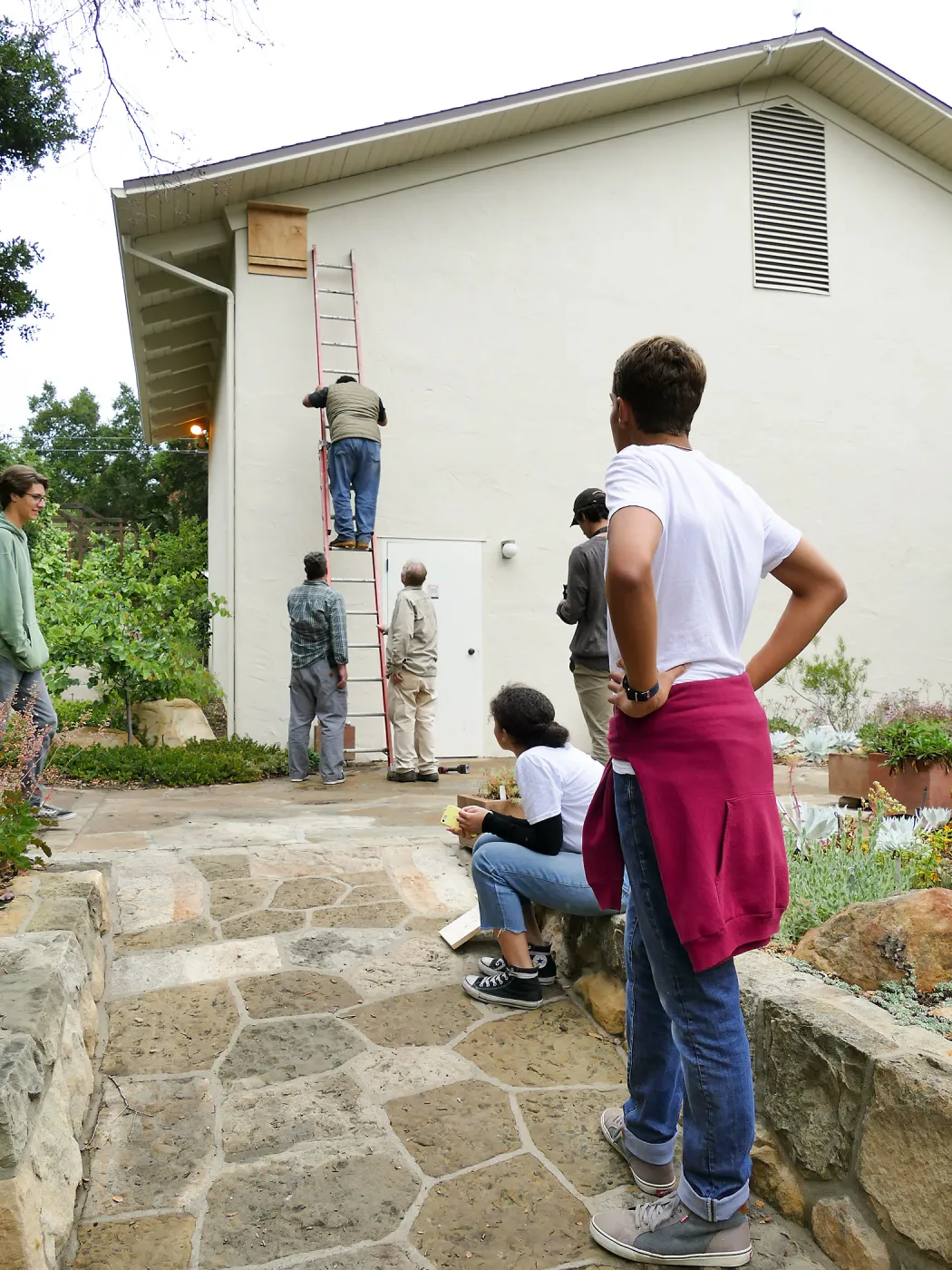 SBHS AP Environmental Science student provided bat house installation