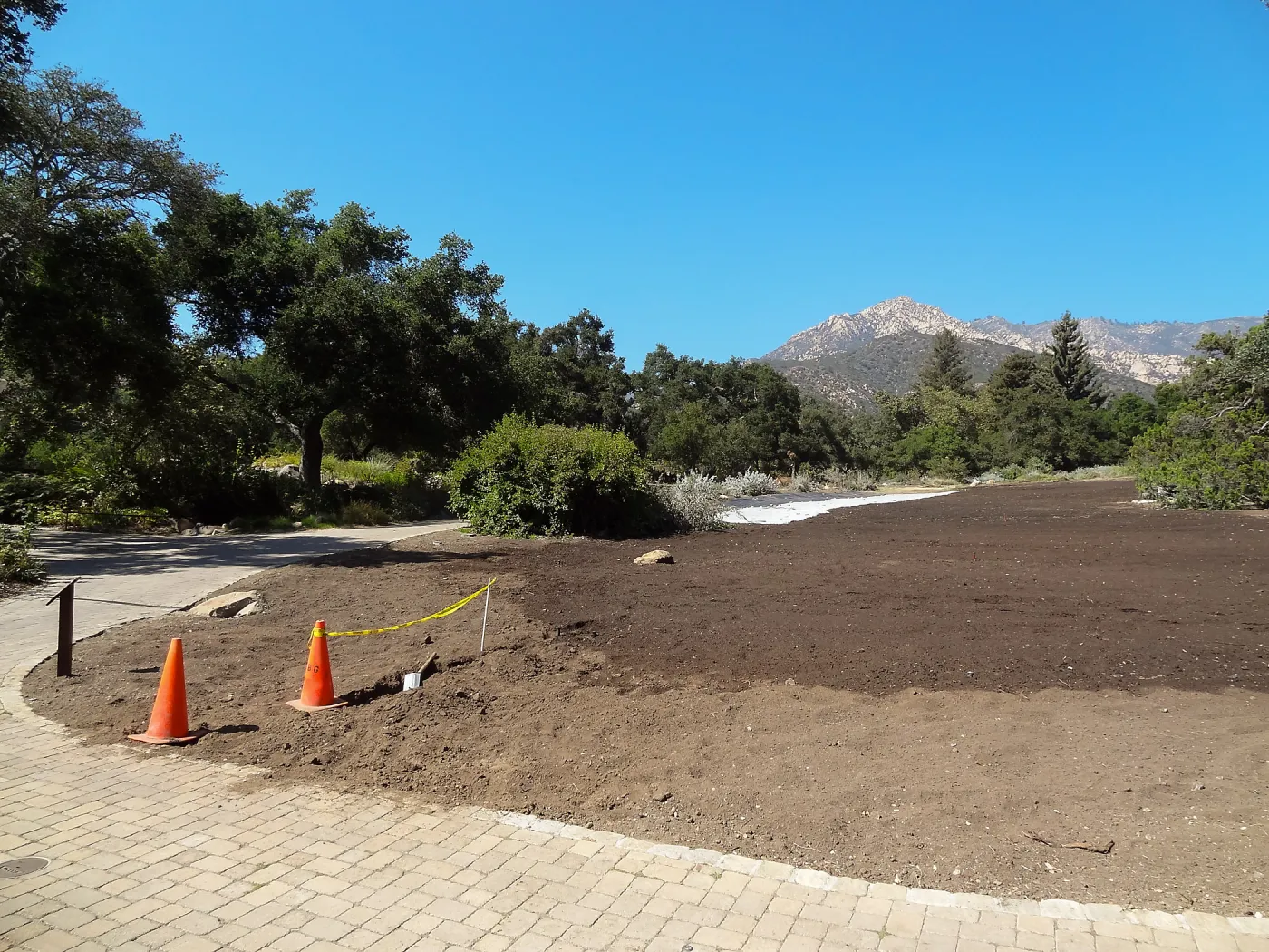 Meadow Revival Project, black versus white plastic mulch test, installation