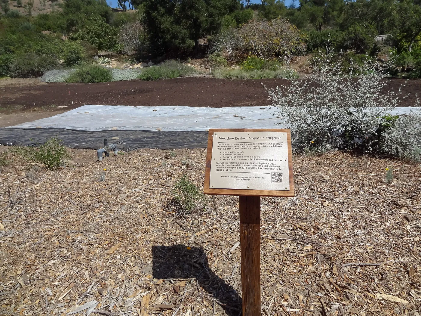Meadow Revival Project, black versus white plastic mulch test, interpretive signage