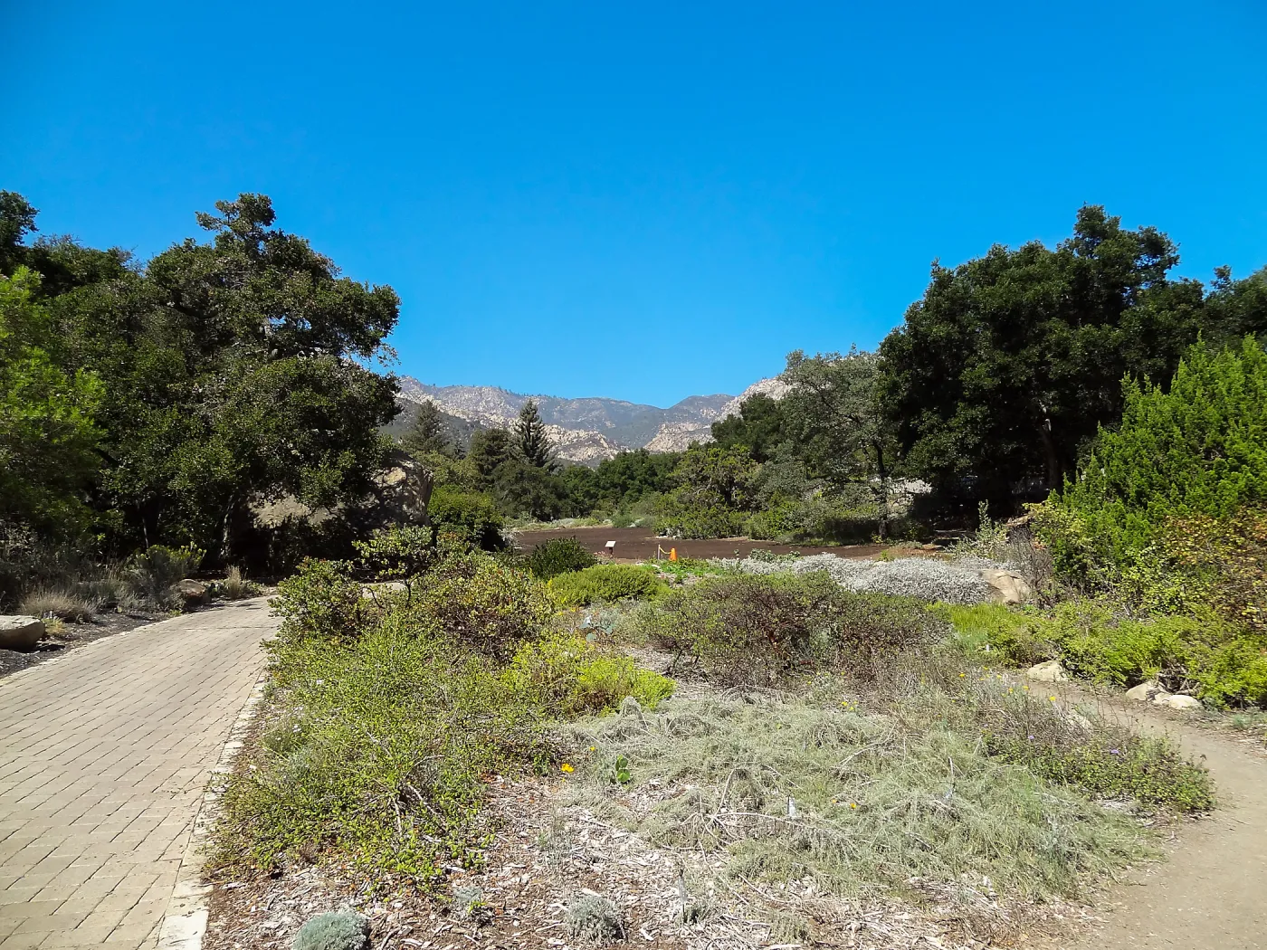 Meadow Revival Project, view from Groundcover Display