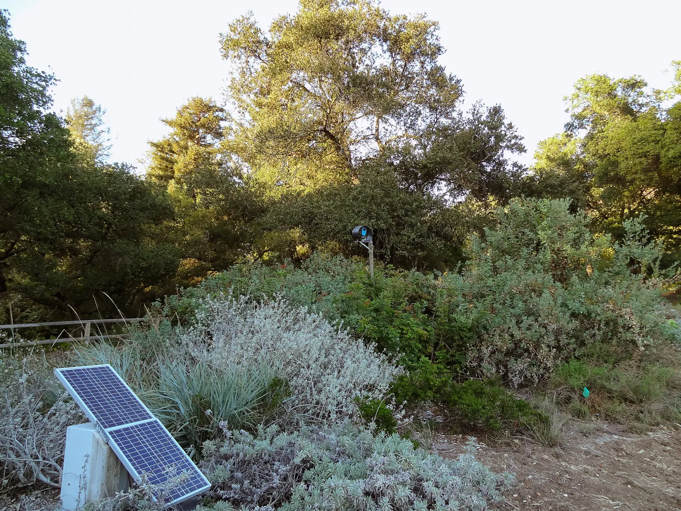 Meadow Revival Project, time lapse camera