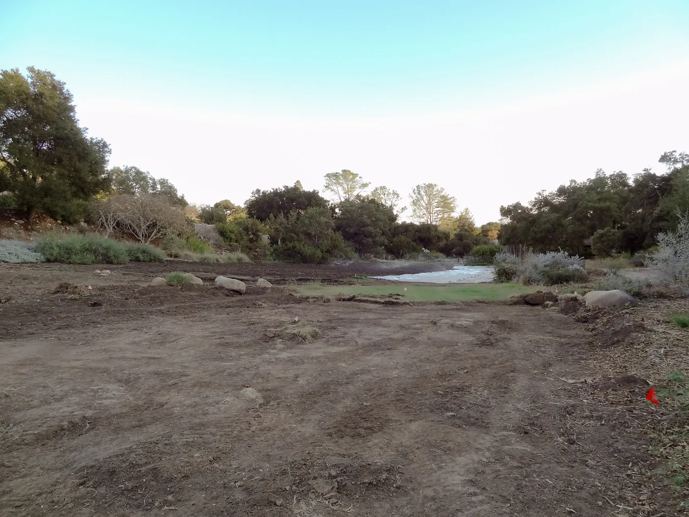 Meadow Revival Project, turf removal