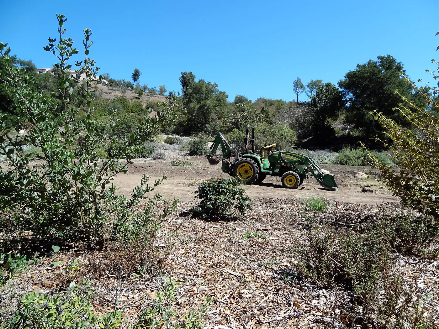 Meadow Revival Project, turf removal