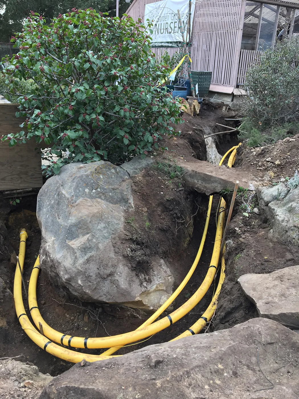 Work on new gas line in Courtyard northwest corner