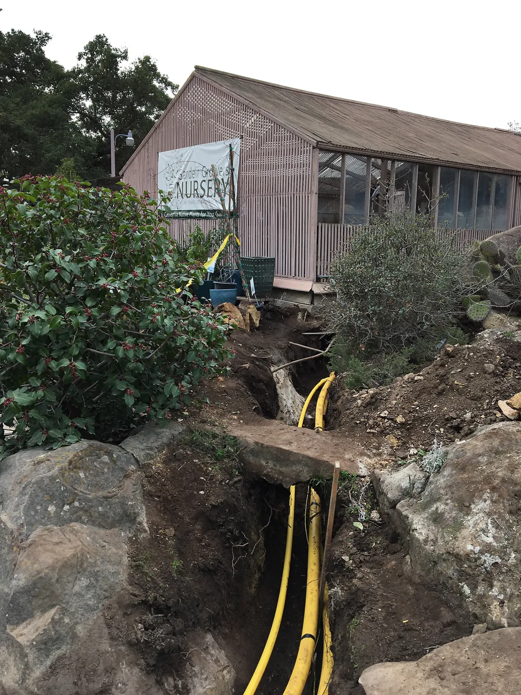 Work on new gas line in Courtyard northwest corner
