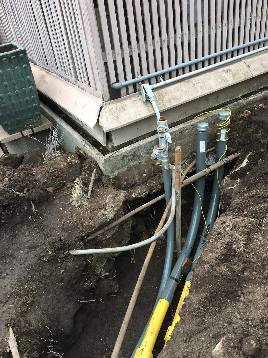 Work on new gas line in Courtyard, northeast corner of Lath House