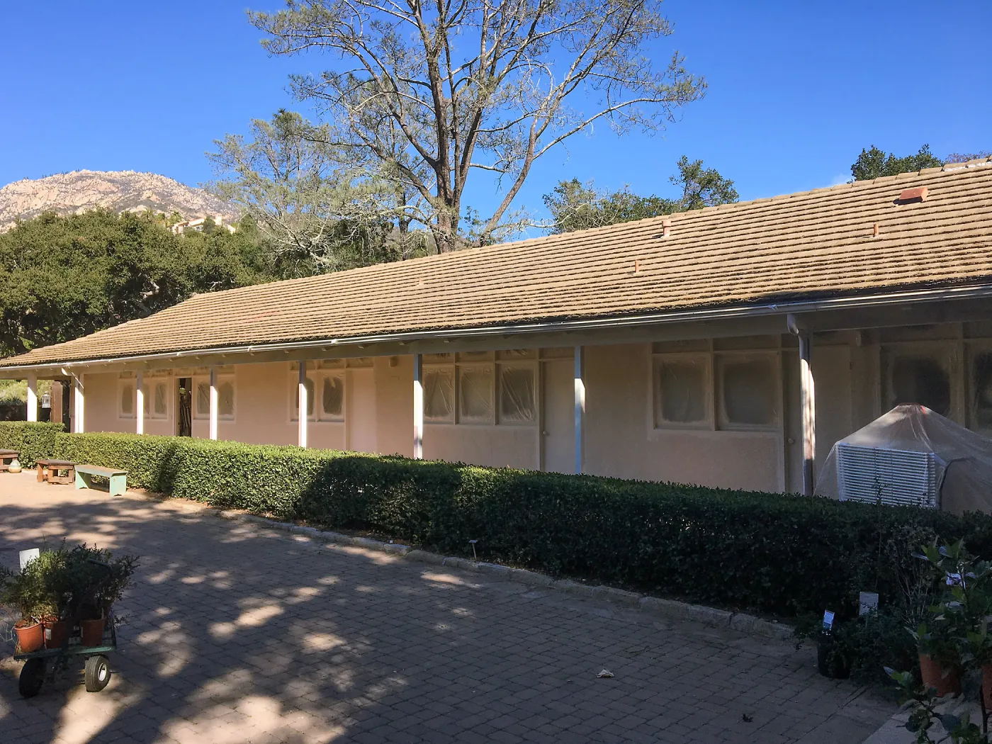 West side painting project, North Wing