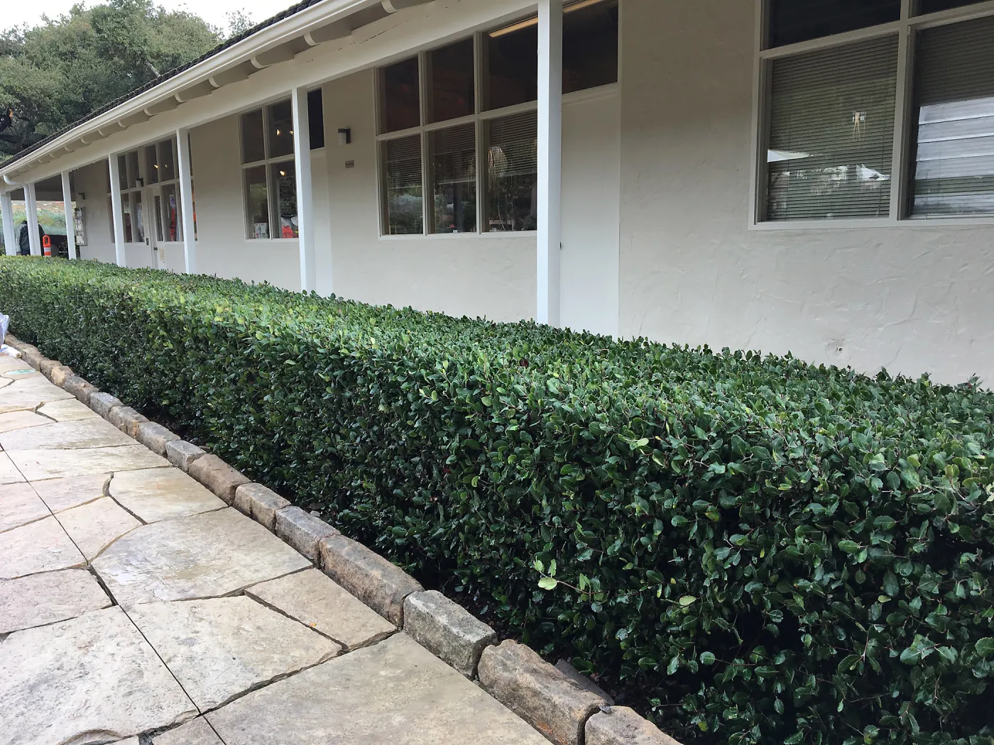 Courtyard flagstone walkway installation
