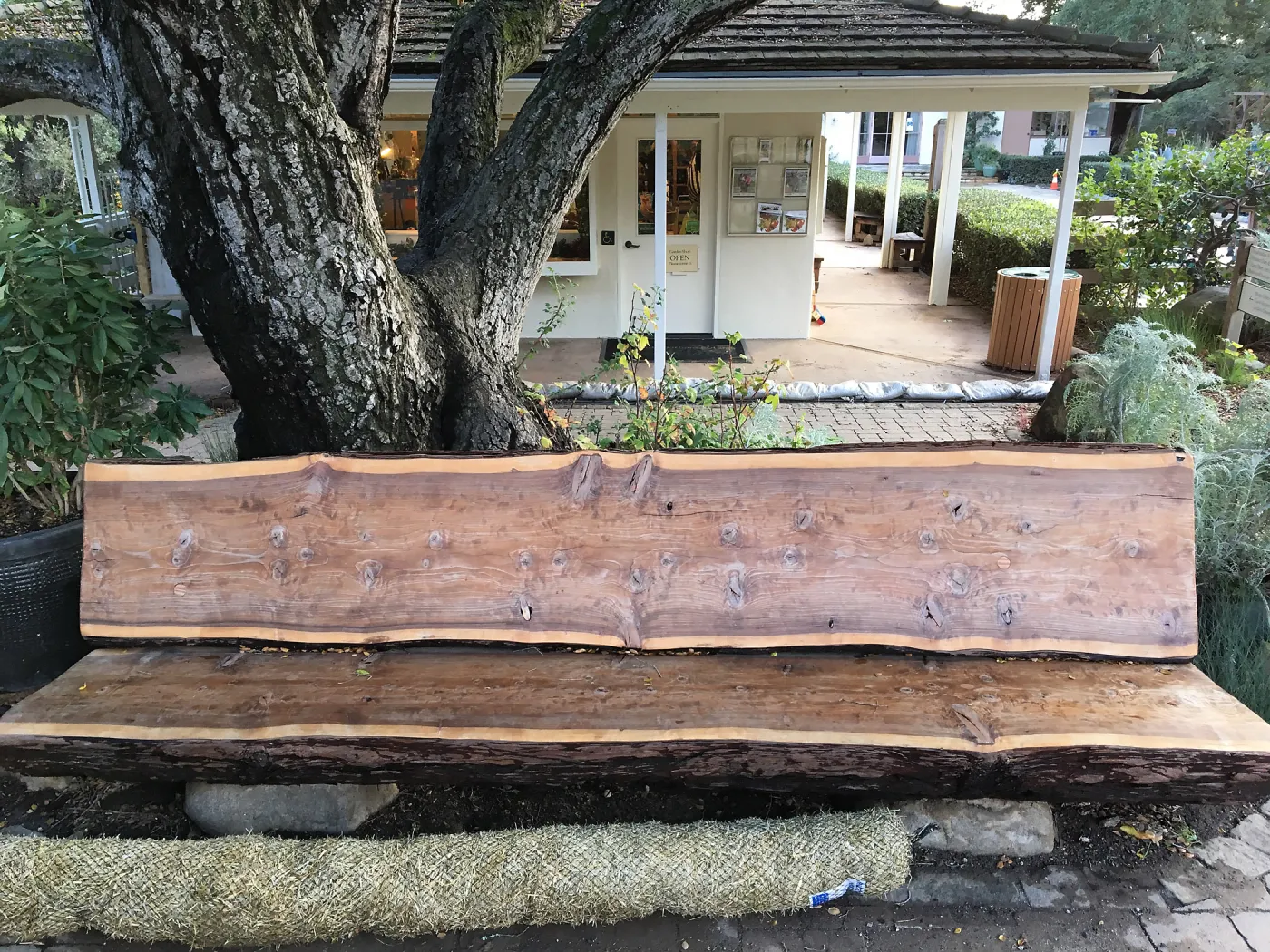Katherine K Muller bench, in front of Garden shop