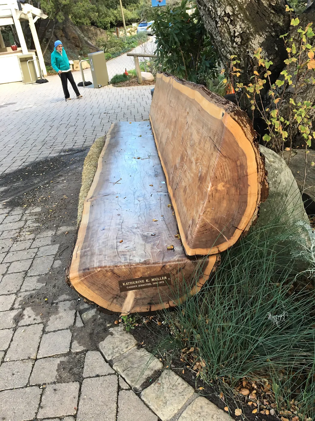 Katherine K Muller bench, in front of Garden shop