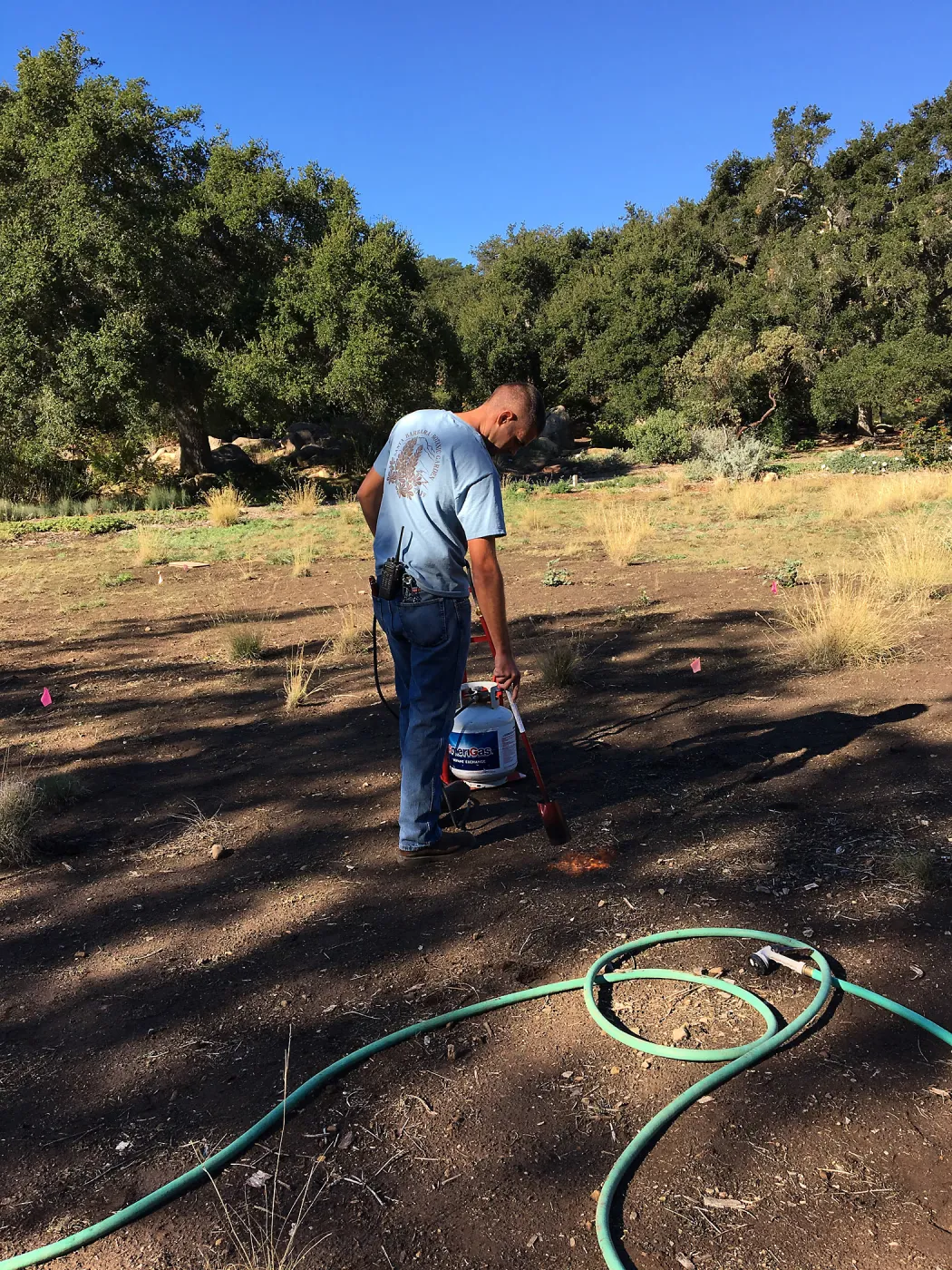 Wes Franken using a torch for weed abatement