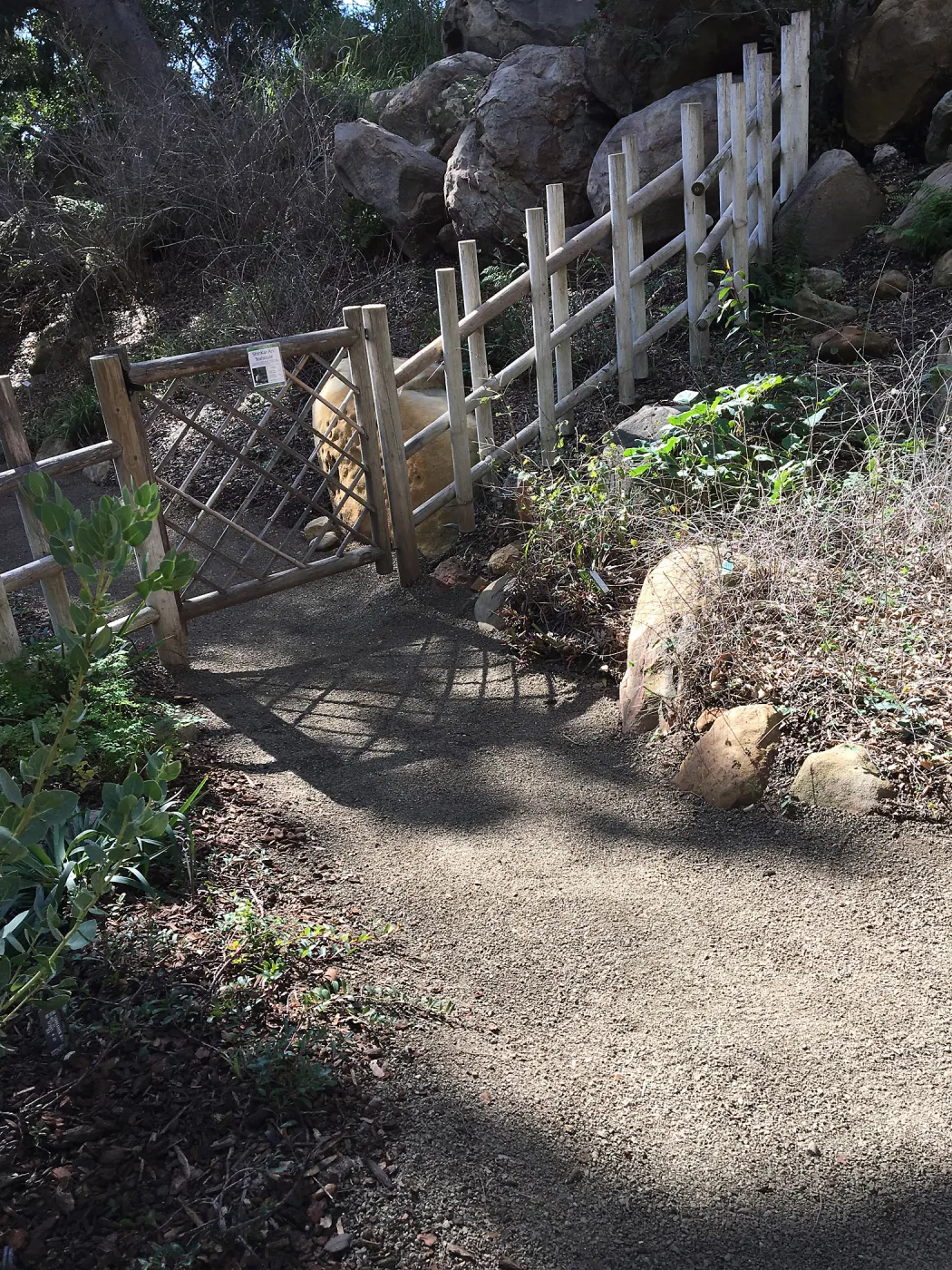 Gate toTeahouse garden