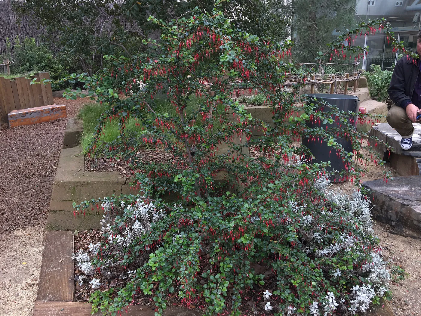 Urban Nature Garden at the Natural History Museum of Los Angeles
