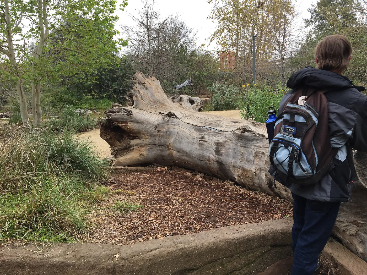 Urban Nature Garden at the Natural History Museum of Los Angeles