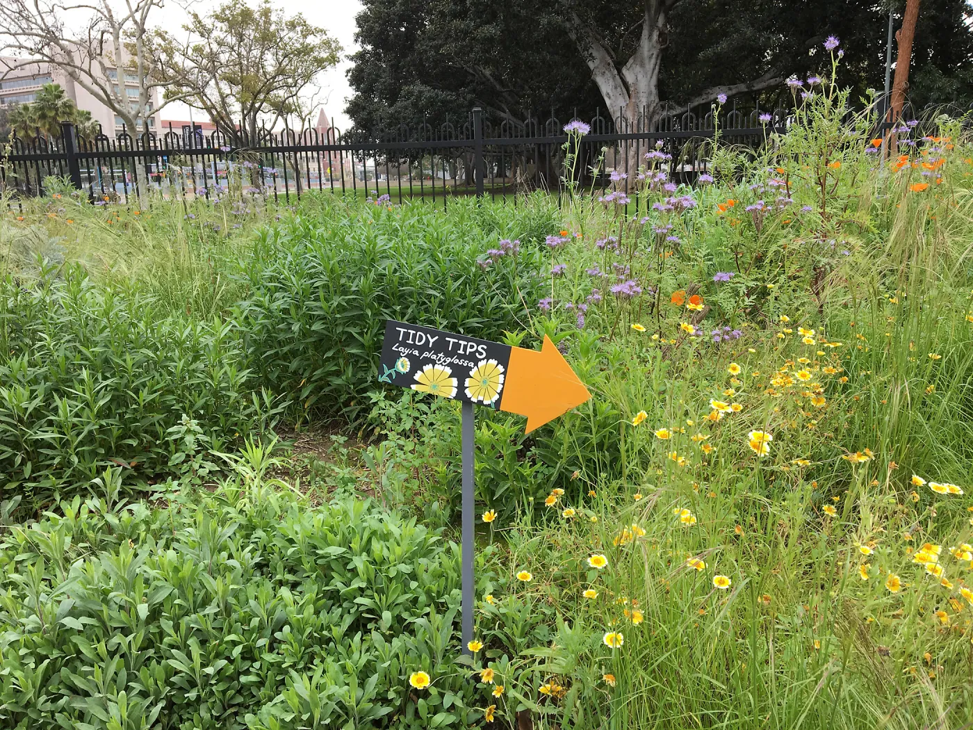Urban Nature Garden at the Natural History Museum of Los Angeles