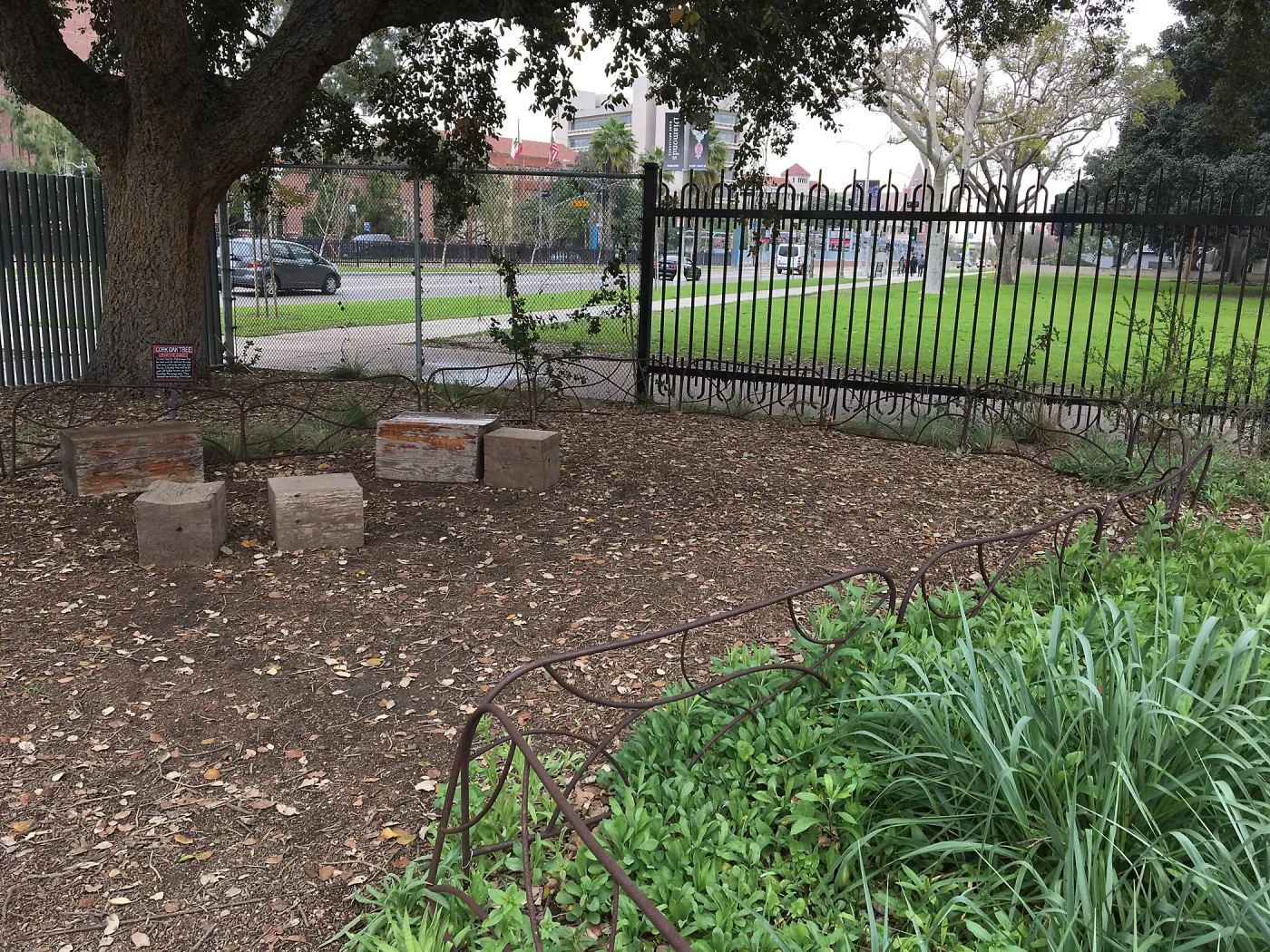 Urban Nature Garden at the Natural History Museum of Los Angeles