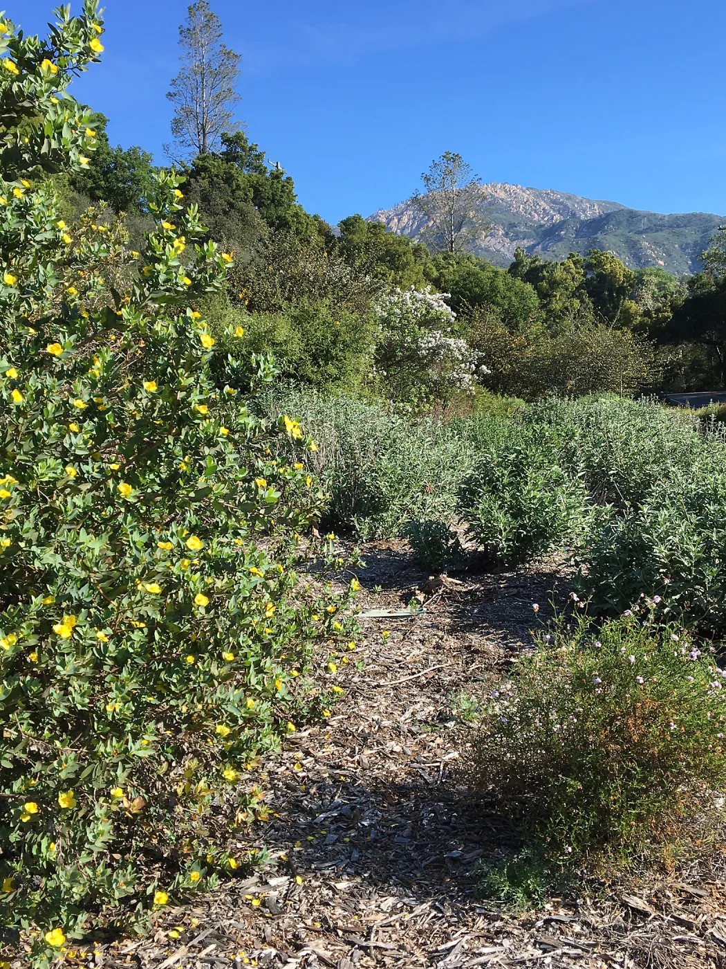  Tunnel Road Triangle
