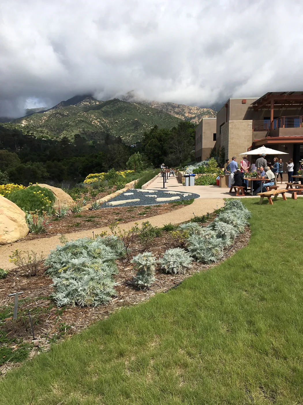 Santa Barbara Beer Garden Event, Pritzlaff Conservation Center, Eriophyllum plantings in Island View Garden