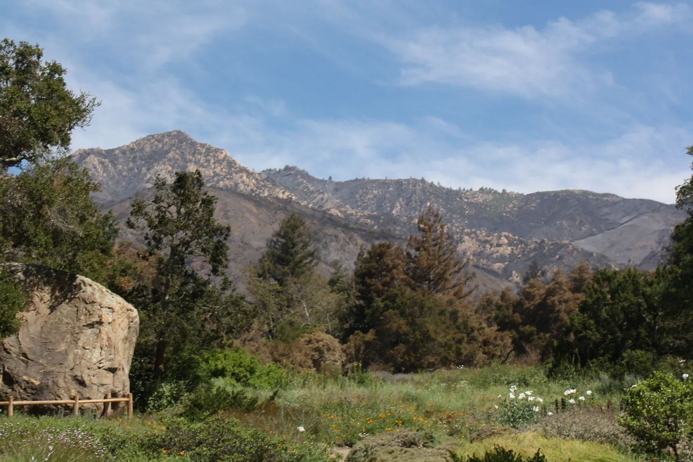 Meadow and scorched mountains after Jesusita Fire