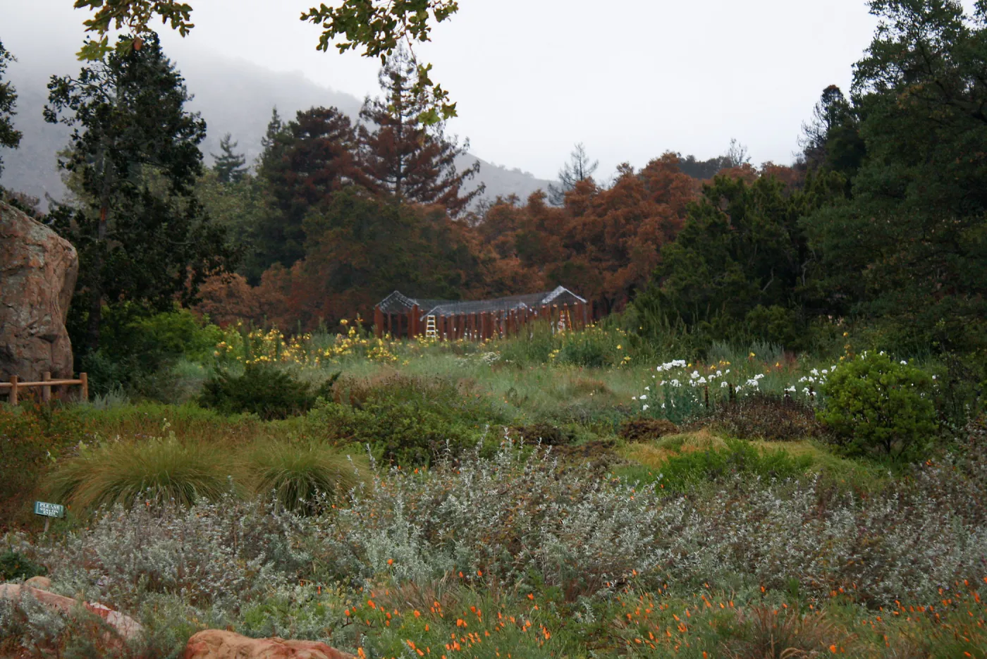 Meadow with Herb Parker's â€˜Haven' labyrinth under construction after Jesusita Fire